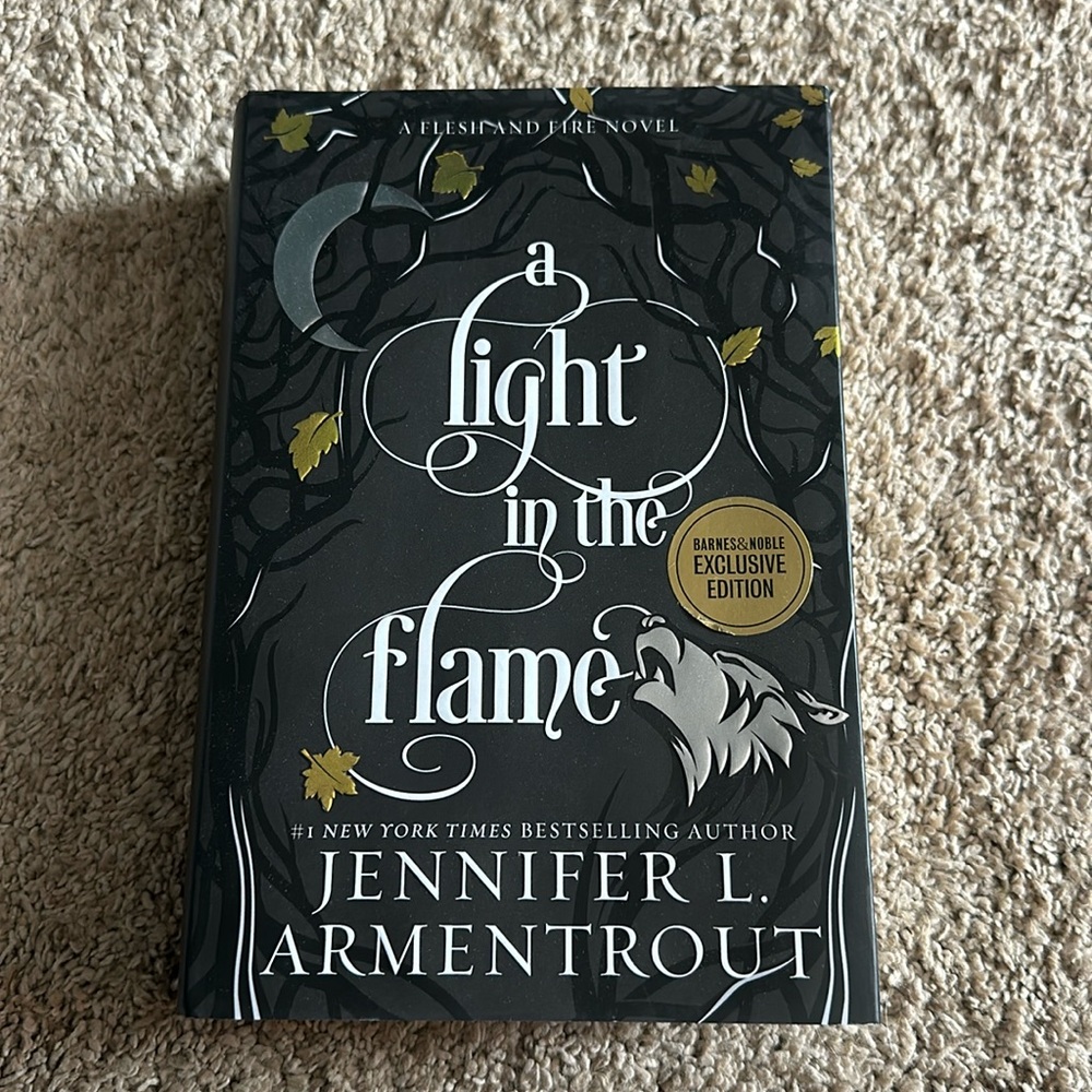 A Light in the Flame by Jennifer L. Armentrout